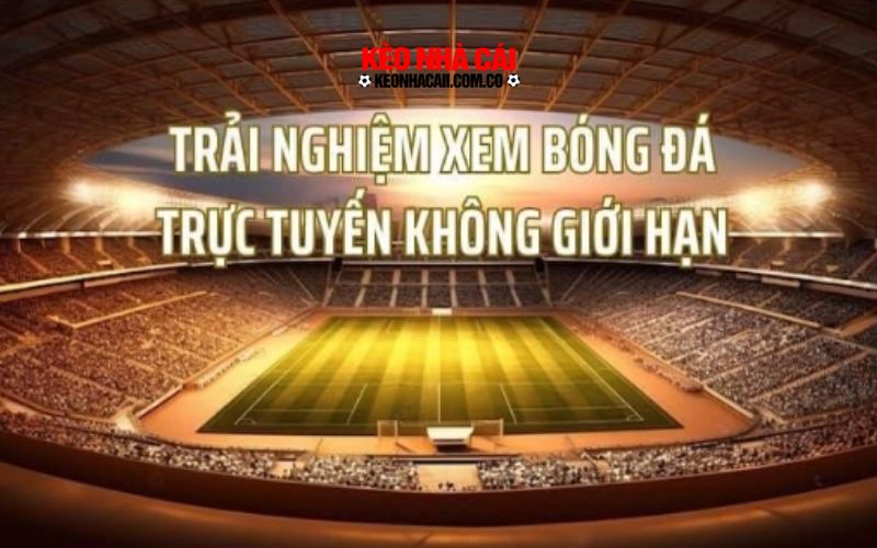 Ưu điểm vượt trội tại trang tin tức bóng đá